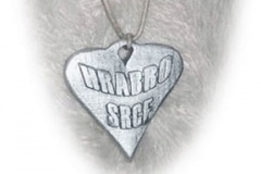 Ogrlica - privjesak srebro
